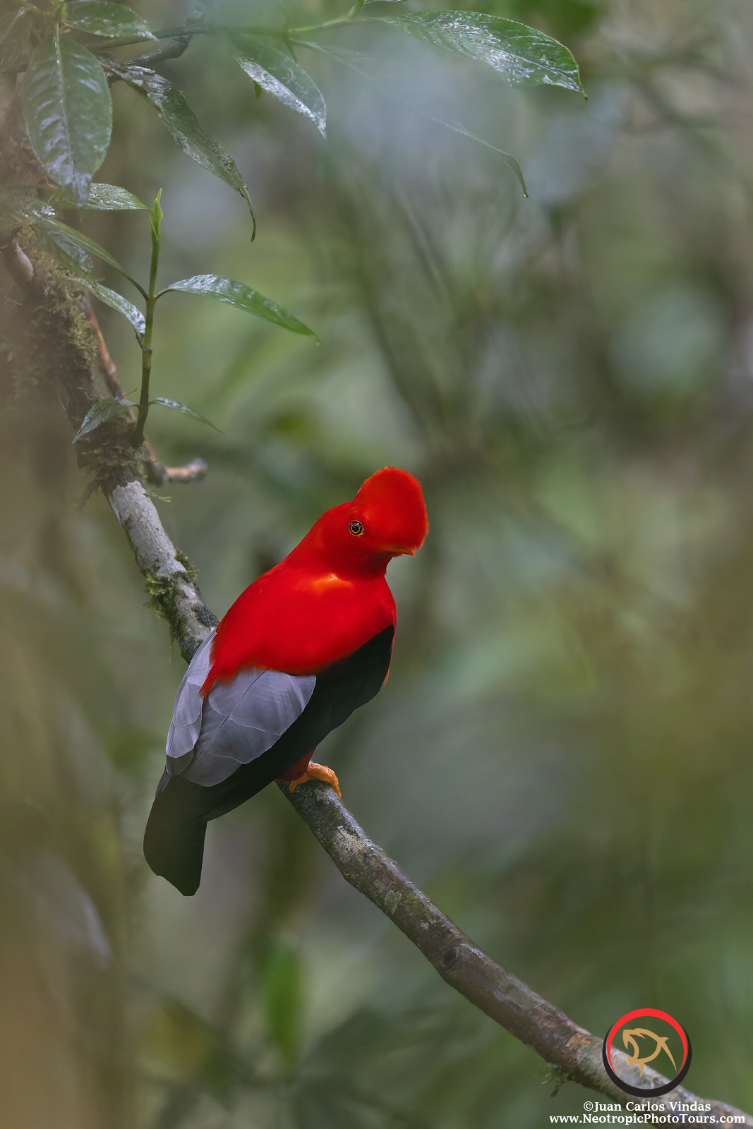 JEWELS OF ECUADOR NOV. 2023