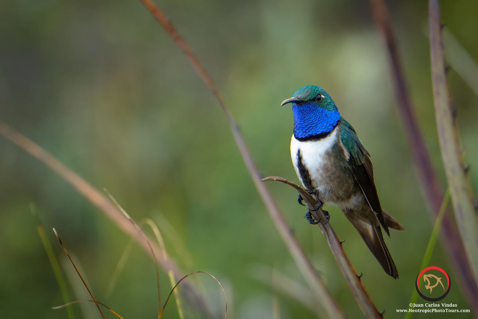 Southern Ecuador