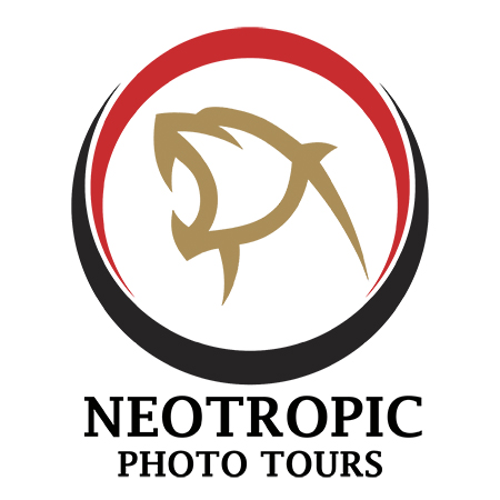 Neotropic Photo Tours